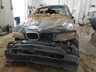 2001 BMW X5 3.0i with VIN WBAFA53501LP20049, listed as a Copart auction lot 76722354 with 0 mi miles and Non Repairable. Bid and sale history available at carsss.com. Image 5.