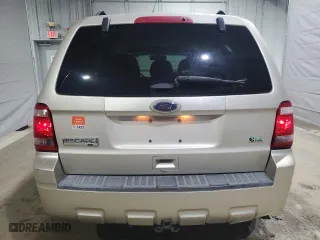 2011 Ford Escape XLT with VIN 1FMCU9DG8BKB50390, listed as a Copart auction lot 49583295 with 80,753 mi miles and Salvage Title. Bid and sale history available at carsss.com. Image 6.