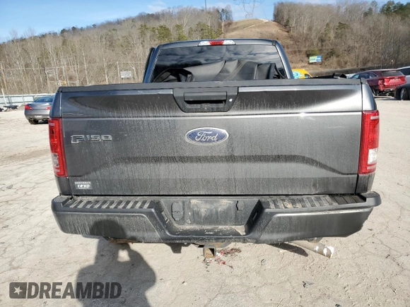 2017 Ford F-150 XL with VIN 1FTEX1EP4HFA17888, listed as a Copart auction lot 44005895 with 146,559 mi miles and Salvage Title. Bid and sale history available at carsss.com. Image 10.