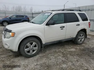 2010 Ford Escape XLT with VIN 1FMCU9DG0AKA68104, listed as a Copart auction lot 53165815 with 385,056 mi miles and Clean Title. Bid and sale history available at carsss.com. Image 1.