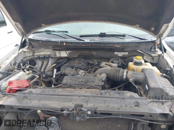 2014 Ford F-150 XL с VIN 1FTMF1CM4EKF51645, выставлен на аукционе IAAI как лот 42604754 с пробегом 296 903 миль миль и . История ставок и продаж доступна на DreamBid. Изображение 10.