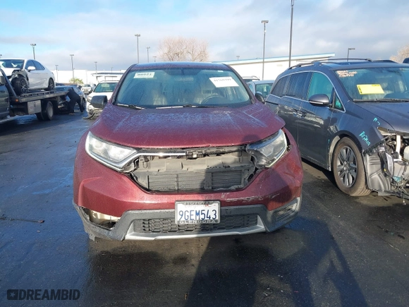 2019 Honda CR-V LX with VIN 2HKRW5H31KH415531, listed as a IAAI auction lot 41769399 with 79,584 mi miles. Bid and sale history available at carsss.com. Image 12.