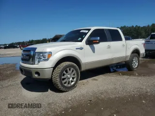 2009 Ford F-150 XL z VIN 1FTPW14V79KB16273, wystawiony jako Copart lot #55240785 z przebiegiem 231 312 mil mil oraz Szkoda całkowita • Salvage title. Historia ofert i sprzedaży dostępna na DreamBid. Obrazek 1.