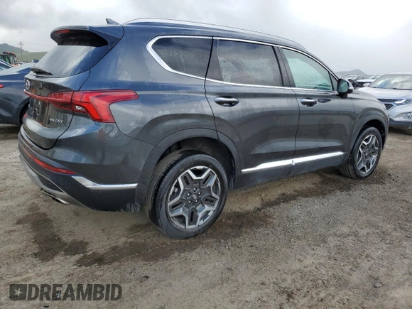 2023 Hyundai Santa Fe Limited with VIN 5NMS4DAL6PH516967, listed as a Copart auction lot 51137385 with 55,902 mi miles and Salvage Title. Bid and sale history available at carsss.com. Image 3.