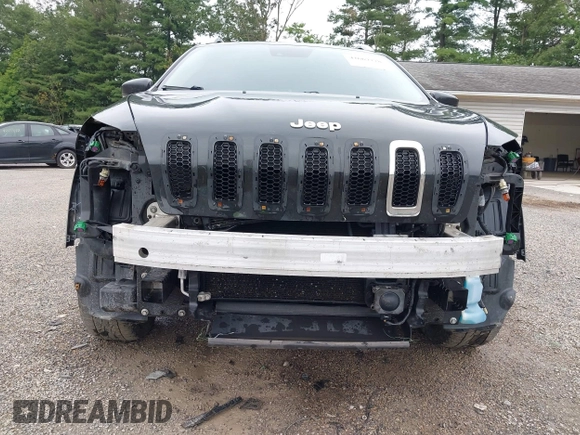 2014 Jeep Cherokee Limited with VIN 1C4PJMDS2EW120384, listed as a IAAI auction lot 42667778 with 121,206 mi miles and . Bid and sale history available at DreamBid. Image 6.