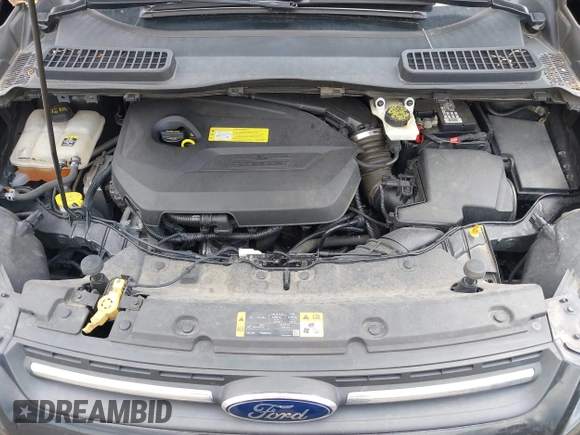 2013 Ford Escape SE with VIN 1FMCU0GX1DUA99040, listed as a IAAI auction lot 42084787 with 140,473 mi miles and . Bid and sale history available at DreamBid. Image 10.