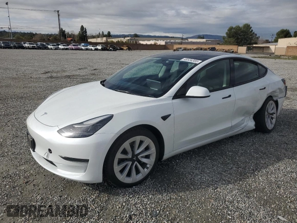 2023 Tesla Model 3 with VIN 5YJ3E1EA9PF450392, listed as a Copart auction lot 48534385 with 36,829 mi miles and Salvage Title. Bid and sale history available at DreamBid. Image 1.