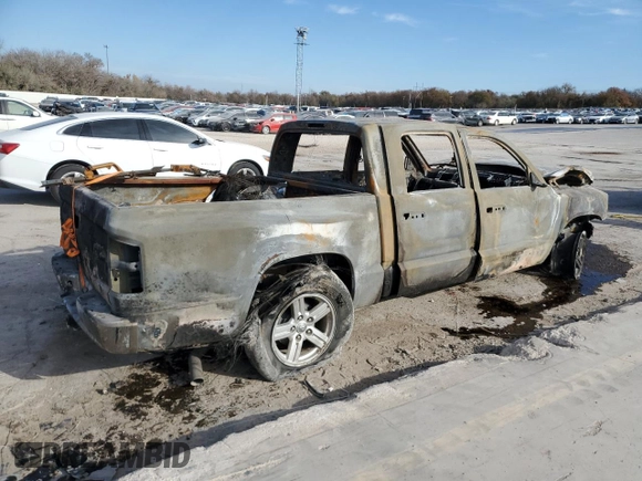 2010 Dodge Dakota with VIN 1D7CE5GP2AS100806, listed as a Copart auction lot 82240334 with Not provided miles and Non repairable. Bid and sale history available at DreamBid. Image 3.