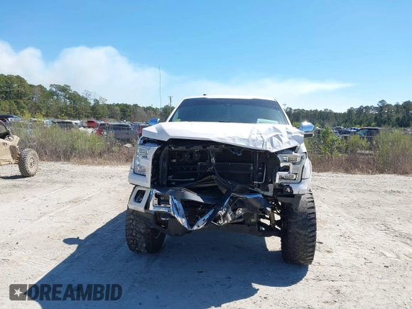 2017 Ford F-150 XL with VIN 1FTEW1EG2HFC42507, listed as a IAAI auction lot 41880756 with 145,889 mi miles. Bid and sale history available at carsss.com. Image 6.