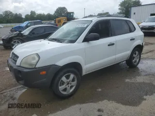 2005 Hyundai Tucson GL with VIN KM8JM12B95U081783, listed as a Copart auction lot 54416165 with 134,413 mi miles and Salvage title. Bid and sale history available at DreamBid. Image 1.