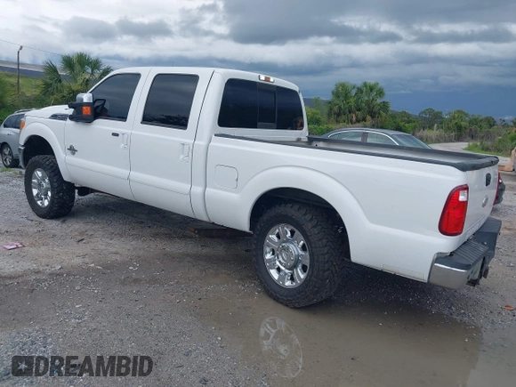2012 Ford F-250 XL with VIN 1FT7W2BTXCEA99983, listed as a IAAI auction lot 42397438 with 300,977 mi miles and . Bid and sale history available at DreamBid. Image 3.
