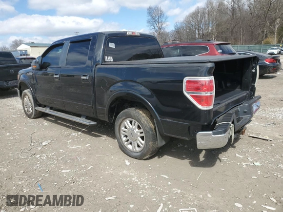 2009 Ford F-150 XL with VIN 1FTPW12VX9FB01228, listed as a Copart auction lot 47942475 with 208,185 mi miles and Clean Title. Bid and sale history available at carsss.com. Image 2.