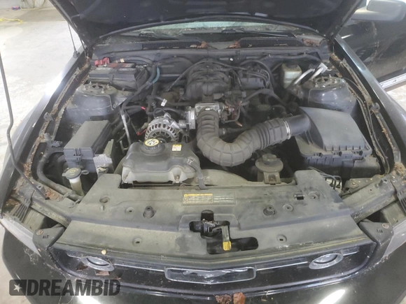 2006 Ford Mustang Standard with VIN 1ZVFT84N165110215, listed as a Copart auction lot 65173645 with 179,638 mi miles and Clean title. Bid and sale history available at DreamBid. Image 11.