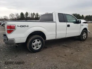 2009 Ford F-150 STX with VIN 1FTRX14889FA73202, listed as a Copart auction lot 50856285 with 184,181 mi miles and Salvage Title. Bid and sale history available at carsss.com. Image 3.