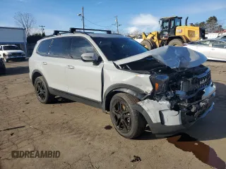 2024 Kia Telluride EX X-Line z VIN 5XYP3DGC5RG439067, wystawiony jako Copart lot #87198444 z przebiegiem 11 151 mil mil oraz Szkody całkowita. Historia ofert i sprzedaży dostępna na DreamBid. Obrazek 4.