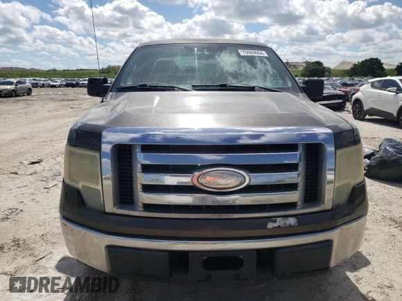 2009 Ford F-150 XL with VIN 1FTRF12879KC60671, listed as a Copart auction lot 76003554 with 266,092 mi miles and Salvage Title. Bid and sale history available at carsss.com. Image 5.