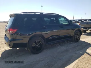 2019 Toyota Sequoia SR5 with VIN 5TDBY5G15KS172781, listed as a Copart auction lot 67750964 with 69,511 mi miles and Clean Title. Bid and sale history available at carsss.com. Image 3.