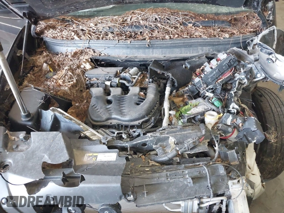 2018 Jeep Cherokee Latitude Plus with VIN 1C4PJMLX3JD598901, listed as a IAAI auction lot 42478797 with Not provided miles and . Bid and sale history available at DreamBid. Image 10.