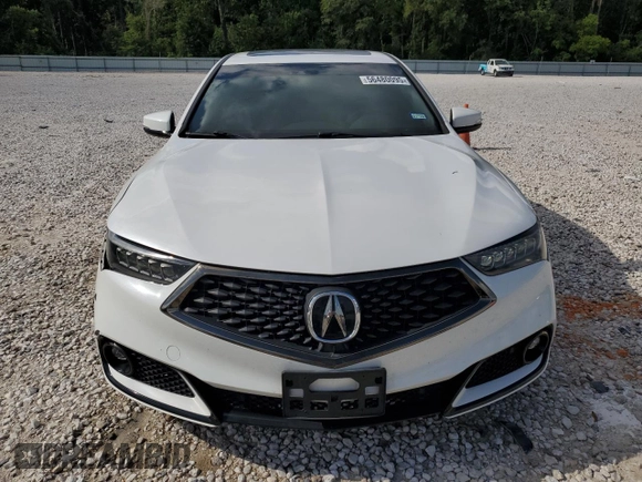2019 Acura TLX w/A-Spec Pkg with VIN 19UUB3F61KA002301, listed as a Copart auction lot 56480095 with 50,350 mi miles and Clean title. Bid and sale history available at DreamBid. Image 5.