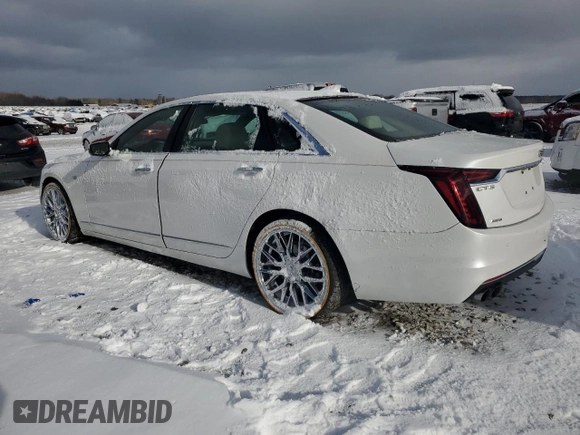 2019 Cadillac CT6 Luxury AWD with VIN 1G6KB5RS6KU117942, listed as a Copart auction lot 81820954 with Not provided miles and Salvage title. Bid and sale history available at DreamBid. Image 2.