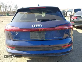 2021 Audi e-tron Premium Plus z VIN WA1LAAGE3MB018496, wystawiony jako IAAI lot #41898780 z przebiegiem 73 133 mil mil oraz . Historia ofert i sprzedaży dostępna na DreamBid. Obrazek 17.