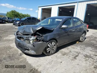 2013 Kia Forte EX with VIN KNAFU4A29D5699186, listed as a Copart auction lot 74003584 with 116,645 mi miles and Salvage Title. Bid and sale history available at carsss.com. Image 1.