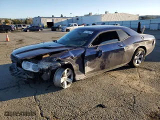 2014 Dodge Challenger SXT with VIN 2C3CDYAG2EH195876, listed as a Copart auction lot 47106235 with 0 mi miles and Salvage Title. Bid and sale history available at carsss.com. Image 1.