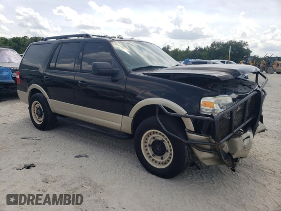 2009 Ford Expedition Eddie Bauer z VIN 1FMFU17529LA08176, wystawiony jako Copart lot #59132435 z przebiegiem 165 936 mil mil oraz Szkoda całkowita • Salvage title. Historia ofert i sprzedaży dostępna na DreamBid. Obrazek 4.