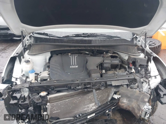 2018 Kia Sorento EX with VIN 5XYPH4A58JG421551, listed as a IAAI auction lot 41551231 with Not Provided miles and . Bid and sale history available at DreamBid. Image 10.