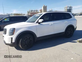2021 Kia Telluride EX with VIN 5XYP3DHC3MG136781, listed as a Copart auction lot 47560575 with 59,247 mi miles and Salvage Title. Bid and sale history available at DreamBid. Image 1.