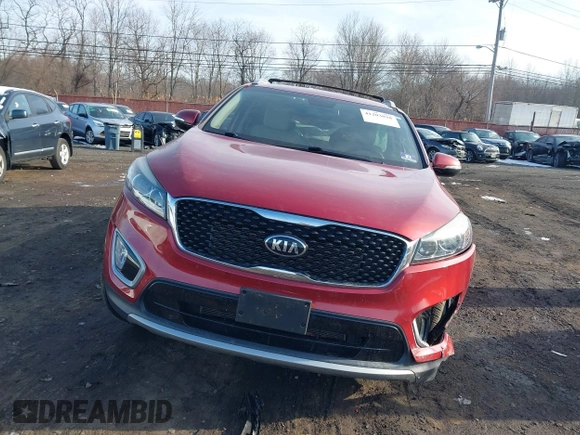 2017 Kia Sorento EX with VIN 5XYPHDA51HG313606, listed as a IAAI auction lot 41203028 with 46 mi miles and . Bid and sale history available at DreamBid. Image 19.