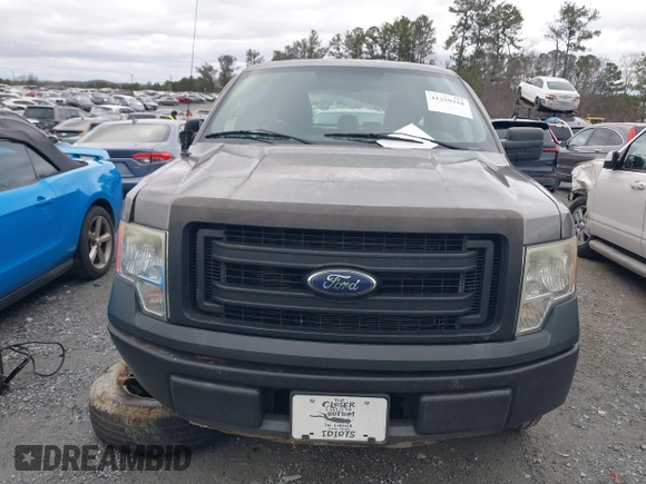 2013 Ford F-150 XL with VIN 1FTEX1CM5DFB69715, listed as a IAAI auction lot 41259318 with 176,916 mi miles. Bid and sale history available at carsss.com. Image 12.
