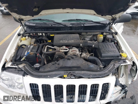 2000 Jeep Grand Cherokee Limited with VIN 1J4GW58N8YC336316, listed as a IAAI auction lot 42409398 with 168,230 mi miles and . Bid and sale history available at DreamBid. Image 10.
