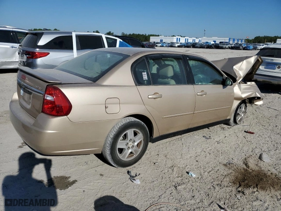 2005 Chevrolet Malibu LS with VIN 1G1ZT52865F261449, listed as a Copart auction lot 50224305 with 0 mi miles and Non Repairable. Bid and sale history available at carsss.com. Image 3.