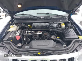 2001 Jeep Grand Cherokee Laredo with VIN 1J4GW48N21C730703, listed as a IAAI auction lot 41581667 with 111,054 mi miles and . Bid and sale history available at DreamBid. Image 10.