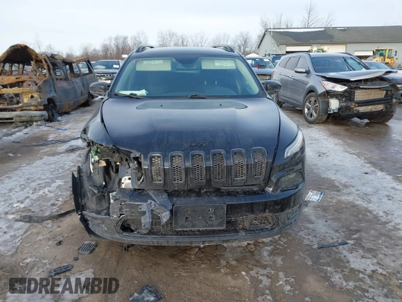 2017 Jeep Cherokee Altitude with VIN 1C4PJLAB1HW644077, listed as a IAAI auction lot 41643091 with 120,738 mi miles and . Bid and sale history available at DreamBid. Image 12.