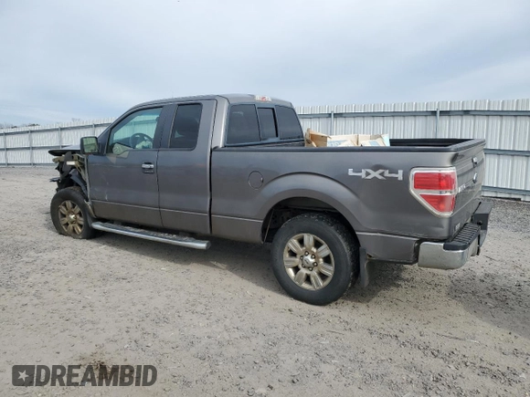 2010 Ford F-150 XL with VIN 1FTFX1EV0AFD15024, listed as a Copart auction lot 45851565 with 164,712 mi miles and Salvage Title. Bid and sale history available at DreamBid. Image 2.