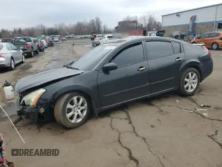 2008 Nissan Maxima 3.5 SL with VIN 1N4BA41E88C816316, listed as a Copart auction lot 51291695 with 245,181 mi miles and Salvage Title. Bid and sale history available at carsss.com. Image 1.