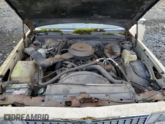 1979 Chevrolet Malibu с VIN 1W19J9K439407, выставлен на аукционе Copart как лот 48776395 с пробегом 47 010 миль миль и Чистый • Clean title. История ставок и продаж доступна на DreamBid. Изображение 11.
