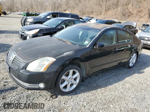 2005 Nissan Maxima SL with VIN 1N4BA41E55C867879, listed as a Copart auction lot 51061115 with Not provided miles and Non repairable. Bid and sale history available at DreamBid. Image 1.