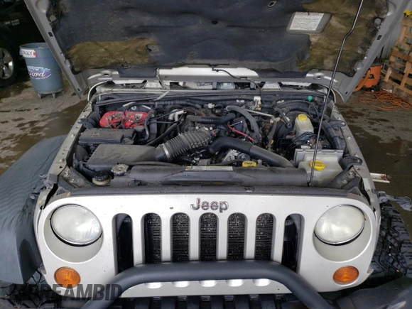 2007 Jeep Wrangler Rubicon z VIN 1J8GA64117L187431, wystawiony jako Copart lot #61293624 z przebiegiem 263 459 mil mil oraz Szkoda całkowita • Salvage title. Historia ofert i sprzedaży dostępna na DreamBid. Obrazek 12.