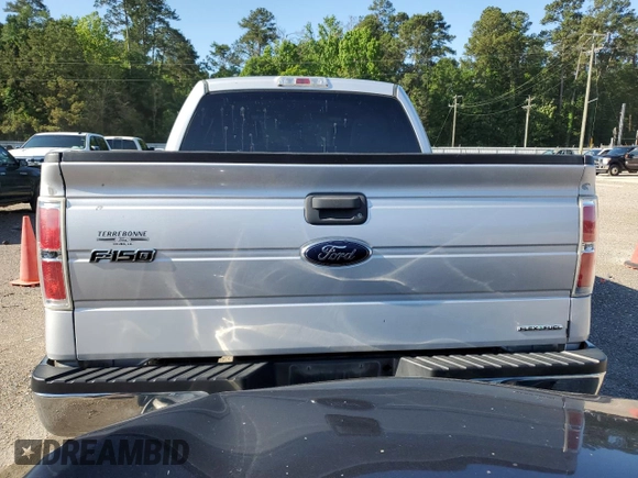 2014 Ford F-150 XL with VIN 1FTEW1CM8EKD65871, listed as a Copart auction lot 55603235 with 249,560 mi miles and Salvage title. Bid and sale history available at DreamBid. Image 6.