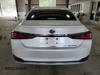 2021 Lexus ES 250 with VIN 58AD11D14MU003218, listed as a Copart auction lot 59742045 with Not provided miles and Salvage title. Bid and sale history available at DreamBid. Image 6.