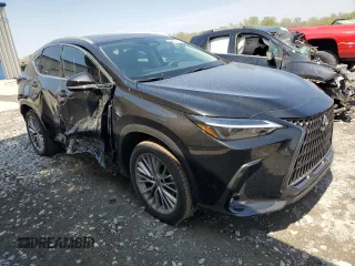 2025 Lexus NX 350 Premium with VIN 2T2GGCEZ1SC073837, listed as a Copart auction lot 53096925 with 304 mi miles and Salvage title. Bid and sale history available at DreamBid. Image 4.