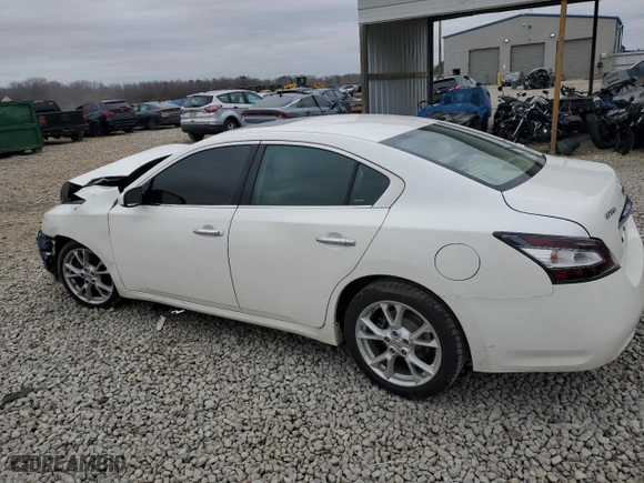2012 Nissan Maxima 3.5 SV with VIN 1N4AA5AP1CC808778, listed as a Copart auction lot 85738344 with 0 mi miles and Salvage Title. Bid and sale history available at carsss.com. Image 2.