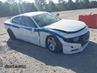 2019 Dodge Charger Police with VIN 2C3CDXAT3KH599711, listed as a IAAI auction lot 41906214 with 80,462 mi miles and . Bid and sale history available at DreamBid. Image 1.