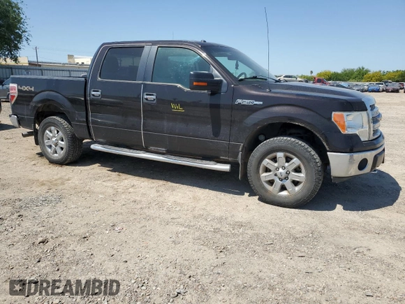 2013 Ford F-150 XL with VIN 1FTFW1EF5DKD25328, listed as a Copart auction lot 52443495 with 166,386 mi miles and Salvage Title. Bid and sale history available at carsss.com. Image 4.
