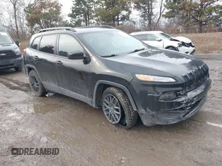 2017 Jeep Cherokee Altitude with VIN 1C4PJLAS7HW610189, listed as a IAAI auction lot 41670339 with 116,556 mi miles and . Bid and sale history available at DreamBid. Image 1.