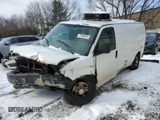 2013 Chevrolet Express Cargo with VIN 1GCWGFBAXD1168503, listed as a Copart auction lot 87638425 with 292,509 mi miles and Clean title. Bid and sale history available at DreamBid. Image 1.
