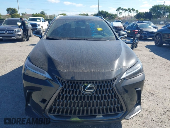 2024 Lexus NX 250 с VIN 2T2ADCAZ0RC010937, выставлен на аукционе IAAI как лот 41479185 с пробегом 19 996 миль миль и . История ставок и продаж доступна на DreamBid. Изображение 12.